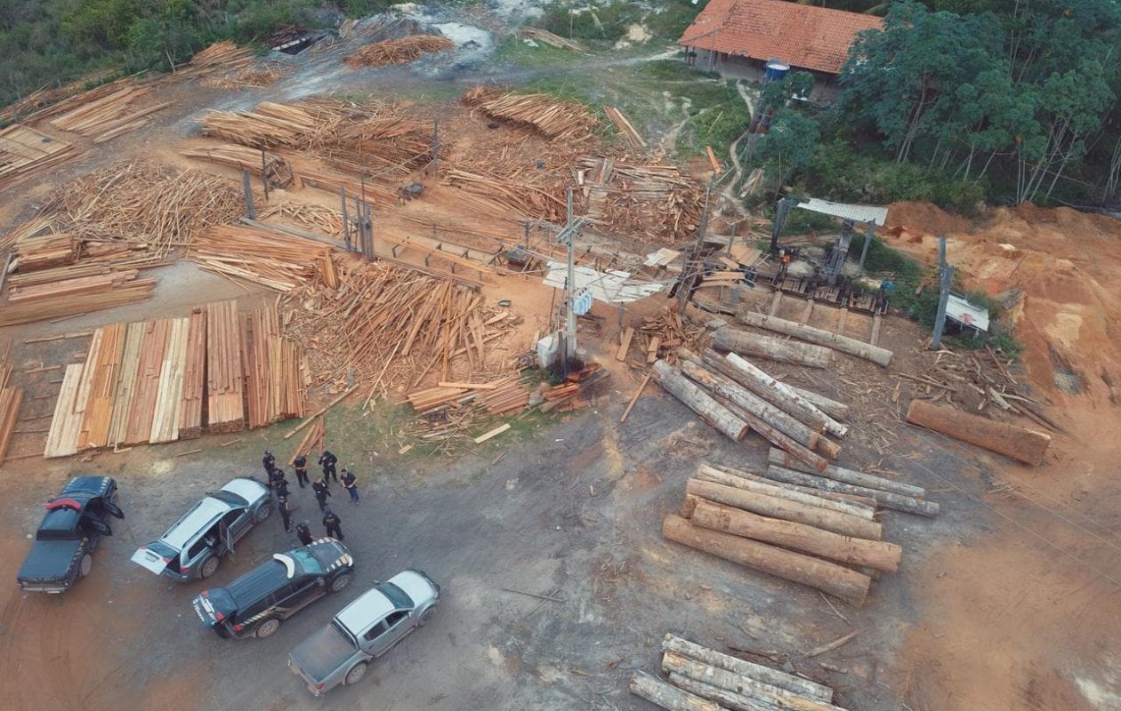 PF deflagra Operação Ka’apor no Maranhão contra extração ilegal de madeira