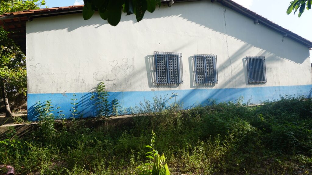 Foto colorida mostrando a lateral externa de uma escola. A parede é branca com uma faixa azul na parte inferior e possui uma janela com grades de ferro preto. O chão ao redor da construção está tomado por vegetação rasteira e arbustos verdes que crescem desordenadamente, cobrindo a calçada e tocando a parede. Ao fundo, vê-se um muro de tijolos vermelhos.